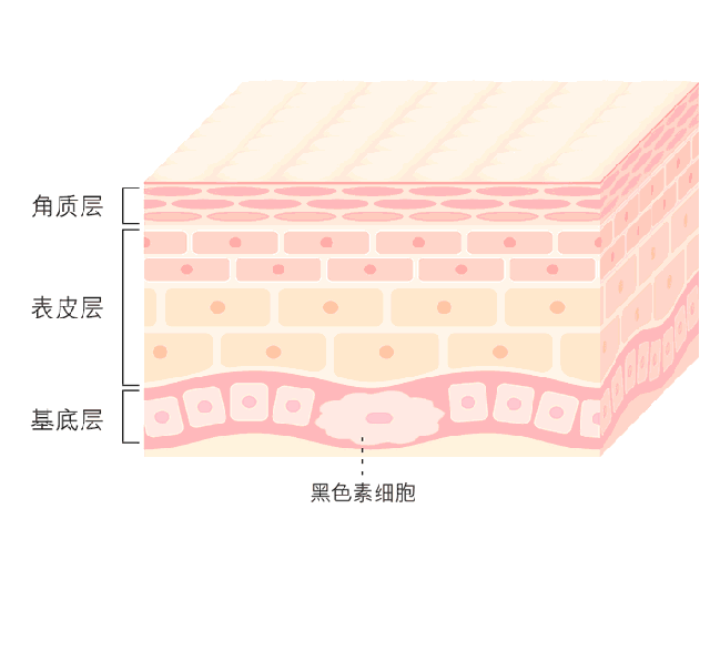 夏天要白三個(gè)度 就得用它！用它！用它！3.gif